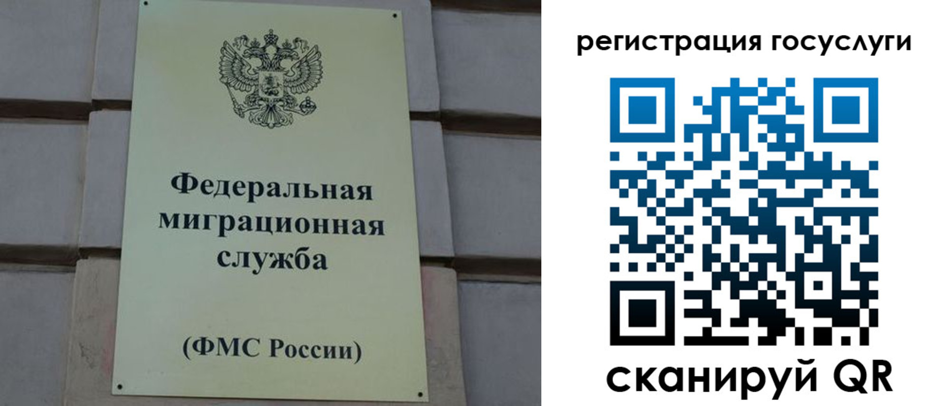 временная регистрация поиск в Долгопрудном